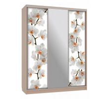 Шкаф-купе Бассо 10-600 83