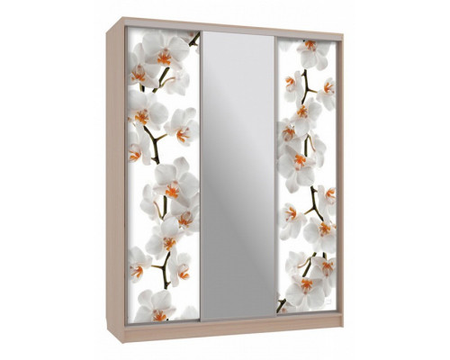 Шкаф-купе Бассо 10-600 83