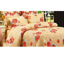 Постельное белье двуспальное B-73