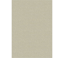 Ковер интерьерный (200x300 см) Riva