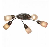 Потолочная люстра Lussole Cevedale 