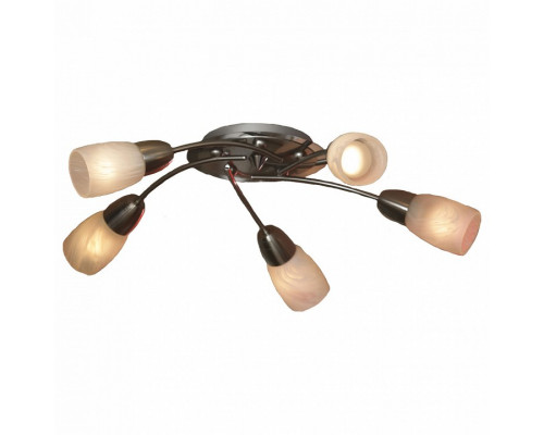 Потолочная люстра Lussole Cevedale