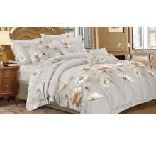 Постельное белье двуспальное Art Color