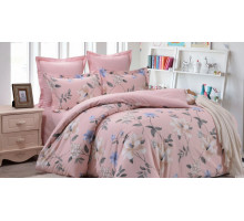 Постельное белье евростандарт Вальтери С