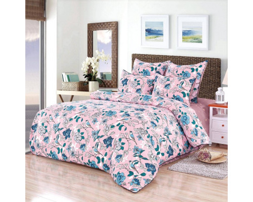 Постельное белье евростандарт Салли