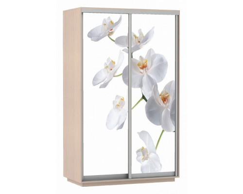 Шкаф-купе Экспресс Фото Дуо Орхидея 1200x600x2200