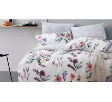 Постельное белье семейное Вальтери MP