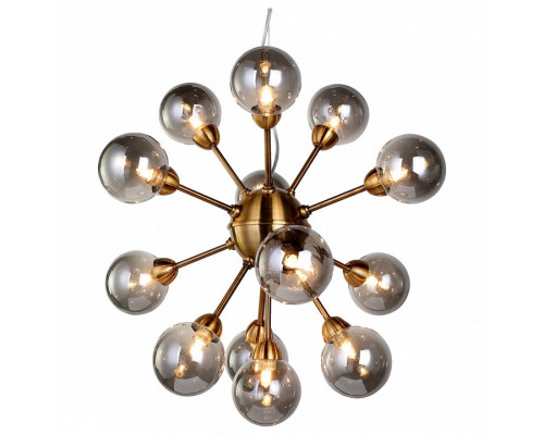 Подвесная люстра Favourite Fraction 2061-13P