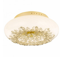 Накладной светильник Arte Lamp Zucca A9111PL-4GO