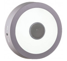 Накладной светильник LED4U 317 317 Bluetooth music 18W D