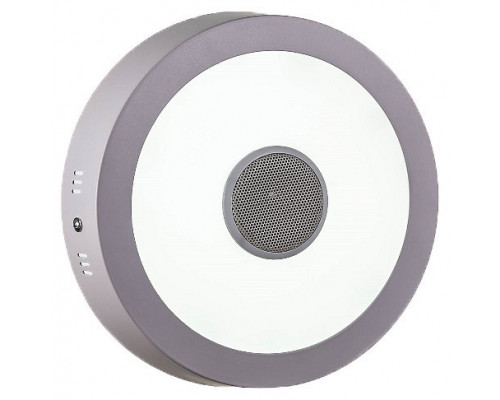 Накладной светильник LED4U 317 317 Bluetooth music 18W D