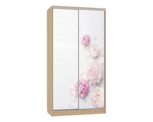 Шкаф-купе Рио 7-600 17