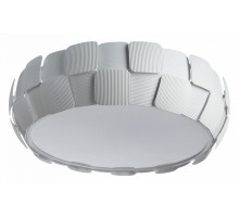 Накладной светильник Divinare Beata 1317/01 PL-6