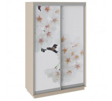 Шкаф-купе Румер