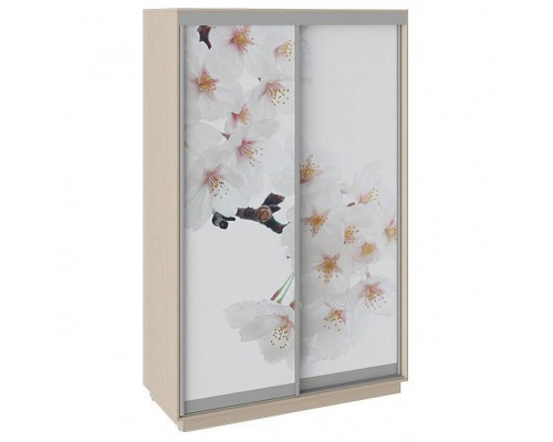 Шкаф-купе Румер