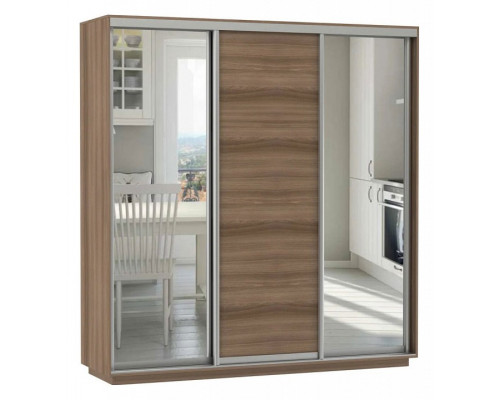 Шкаф-купе Экспресс Медиум (2 зеркала) Трио 2100x600x2400