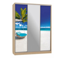 Шкаф-купе Бассо 10-600 77