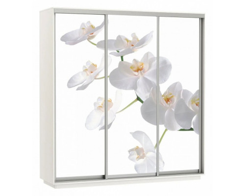 Шкаф-купе Экспресс Фото Трио Орхидея 2100x600x2400