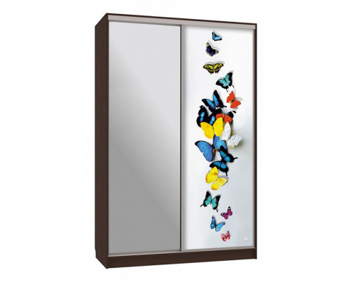 Шкаф-купе Рио 9-600 88