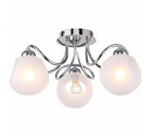 Потолочная люстра Lussole Iliamna 