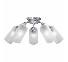 Потолочная люстра Vitaluce V3811 V3811-9/5PL