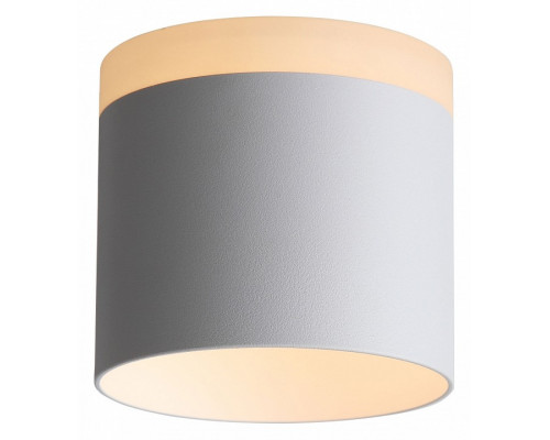 Накладной светильник ST-Luce Panaggio