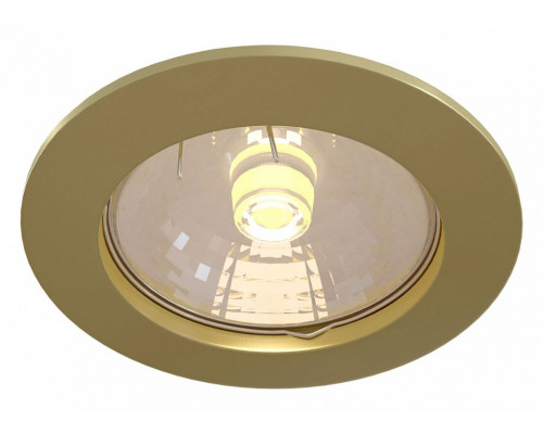 Встраиваемый светильник Maytoni Metal DL009-2-01-G