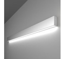 Накладной светильник Elektrostandard LS-02-1 a040128