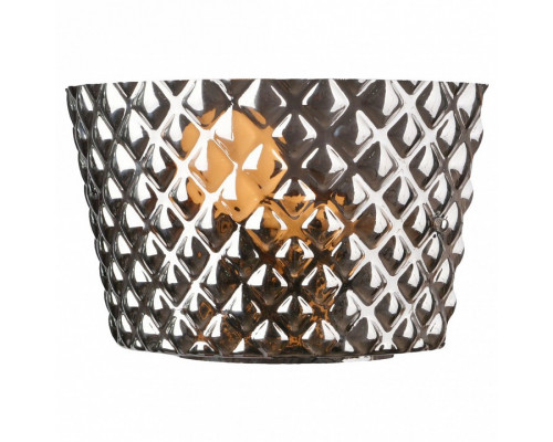 Накладной светильник Arte Lamp Facezia A1554AP-1CC