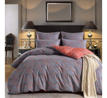 Постельное белье семейное Галактика