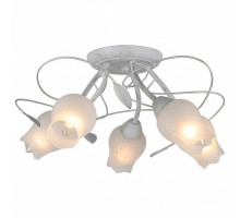 Потолочная люстра Escada Basic 17 153/5PL