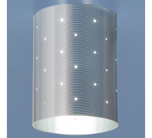 Накладной светильник Elektrostandard 6072 a040975