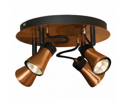 Спот Lussole Forli