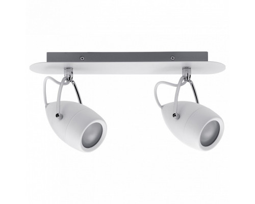 Спот Paulmann Drop 66715