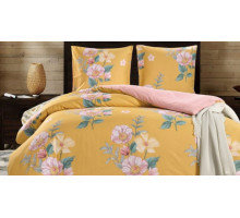 Постельное белье евростандарт CL