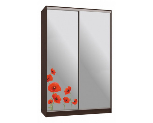 Шкаф-купе Рио 4-600 маки