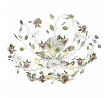 Люстра на штанге Odeon Light Arelata 2584/5