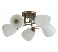 Потолочная люстра Rivoli Carlo Б0044453