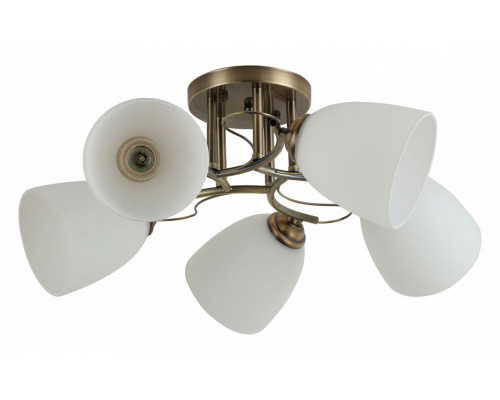 Потолочная люстра Rivoli Carlo Б0044453