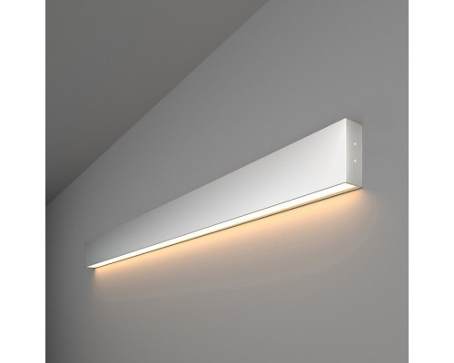 Накладной светильник Elektrostandard 101-100-30-103 a041480