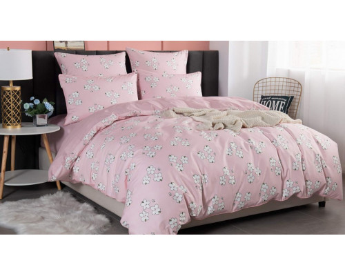 Постельное белье евростандарт Твигги