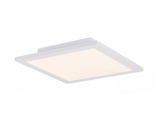 Накладной светильник Globo Rosi 41604D1D