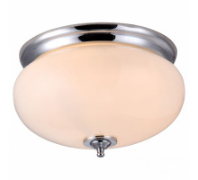 Накладной светильник Arte Lamp Armstrong A3560PL-2CC