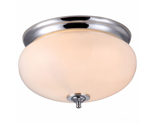 Накладной светильник Arte Lamp Armstrong A3560PL-2CC