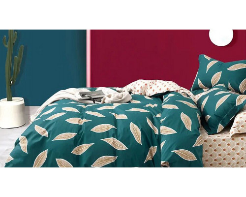 Постельное белье двуспальное №276 Валери