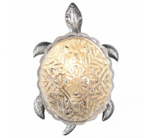 Накладной светильник Favourite Turtle 2255-1W