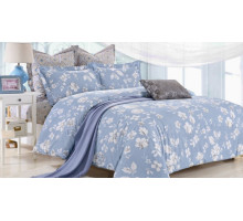 Постельное белье полутораспальное C-194