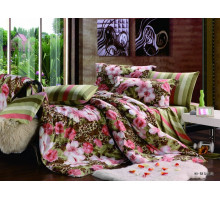 Постельное белье евростандарт C-145