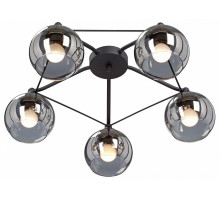 Потолочная люстра Vitaluce  V4703-1/5PL