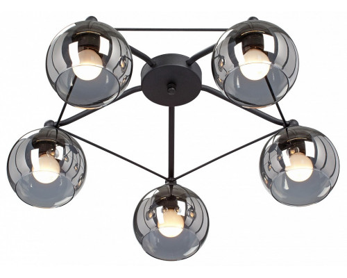 Потолочная люстра Vitaluce  V4703-1/5PL